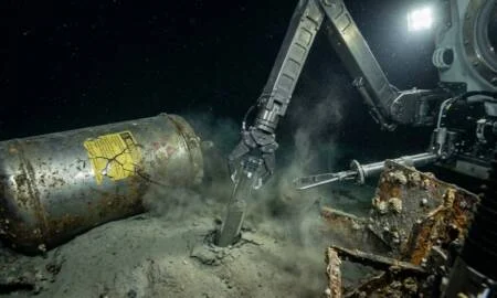 Anêmonas e outros organismos marinhos colonizam contêineres corroídos no fundo oceânico.